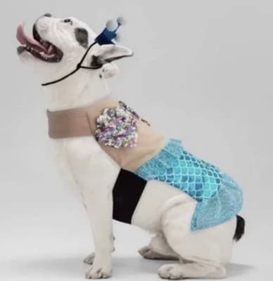NEW Way To Celebrate Halloween Pet Costume: “Mermaid” Size Small