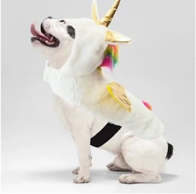 NEW Way To Celebrate Halloween Pet Costume: Unicorn Size Large - Thumbnail 2