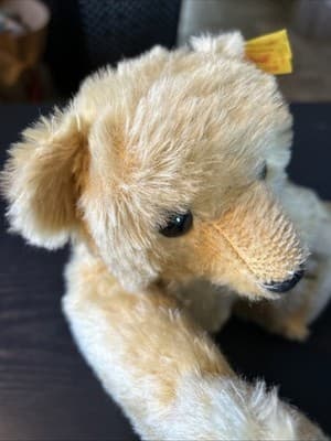 1909 Classic Teddy Bear Replica Steiff Knopf Im Ohr Gowler Button Germany Nice - Thumbnail 8