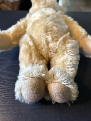 1909 Classic Teddy Bear Replica Steiff Knopf Im Ohr Gowler Button Germany Nice - Thumbnail 2