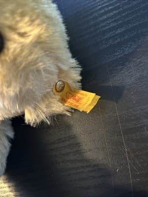 1909 Classic Teddy Bear Replica Steiff Knopf Im Ohr Gowler Button Germany Nice - Thumbnail 7