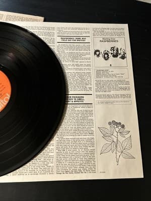 RASPBERRIES' BEST FEAT. ERIC CARMEN, ST-11524 CAPITOL JACKSONVILLE PRESS 1976 NM - Thumbnail 4