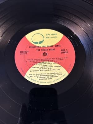Vintage 1971 Presenting The Sugar Bears Vinyl Record Introducing Big Tree - Thumbnail 4