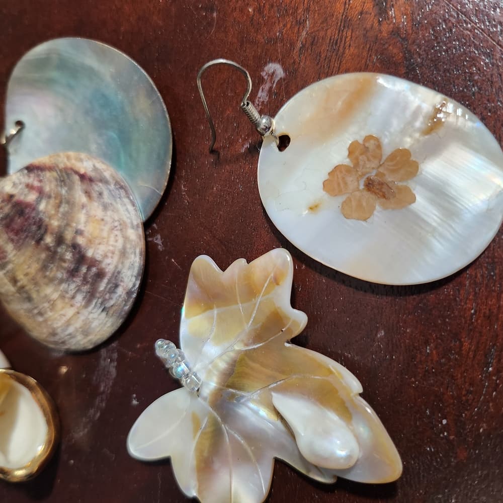 Bundle Of Cream and Brown Shell Jewelry Making Iridescent Accent Pendants