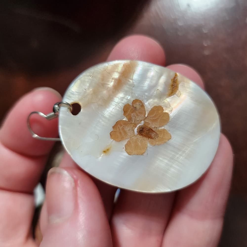 Bundle Of Cream and Brown Shell Jewelry Making Iridescent Accent Pendants - Thumbnail 7