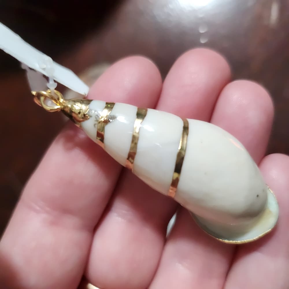 Bundle Of Cream and Brown Shell Jewelry Making Iridescent Accent Pendants - Thumbnail 3