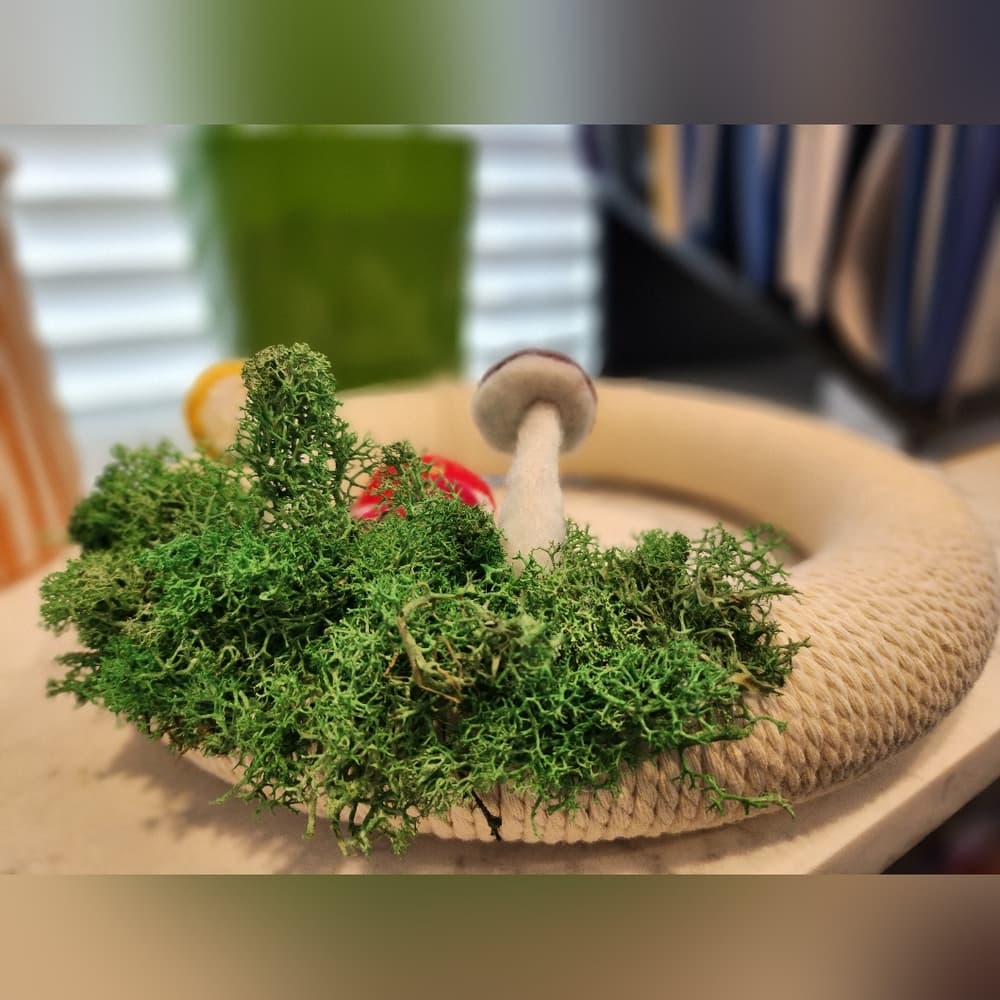 Off White Needlefelted Colorful Mushroom And Moss Hanging Wreath - Thumbnail 6