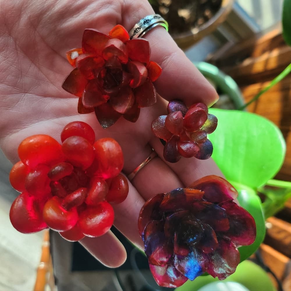 Set of 4 Vibrant Red Tones Floral Succulent Strong Fridge Magnets