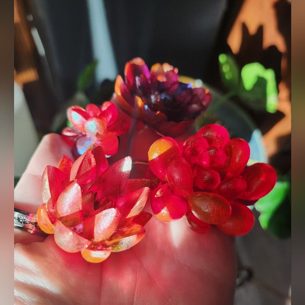 Set of 4 Vibrant Red Tones Floral Succulent Strong Fridge Magnets - Thumbnail 3