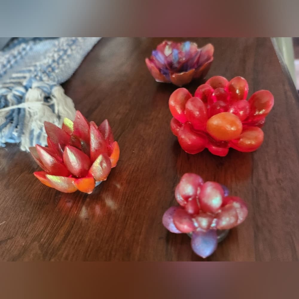 Set of 4 Vibrant Red Tones Floral Succulent Strong Fridge Magnets - Thumbnail 7