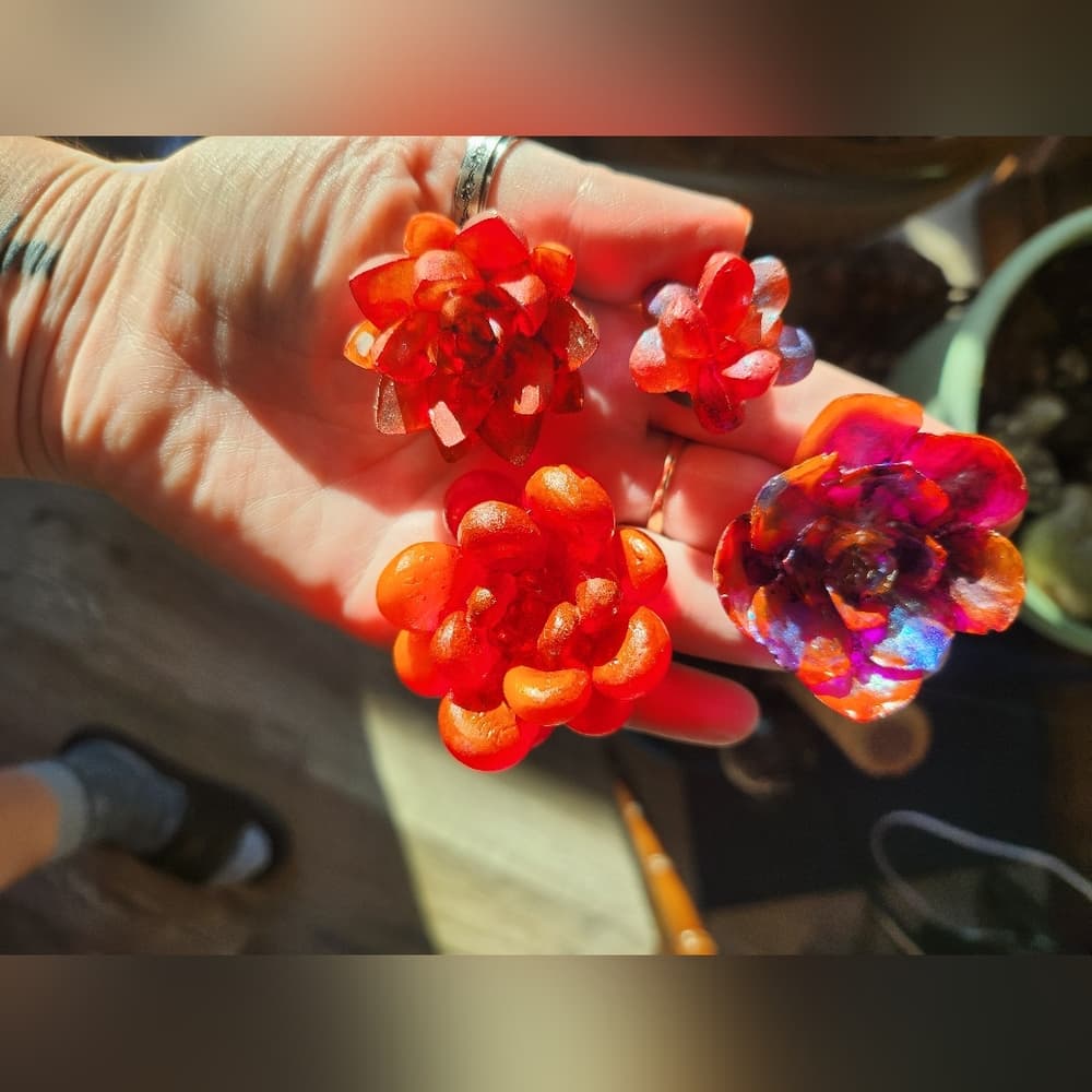 Set of 4 Vibrant Red Tones Floral Succulent Strong Fridge Magnets - Thumbnail 2