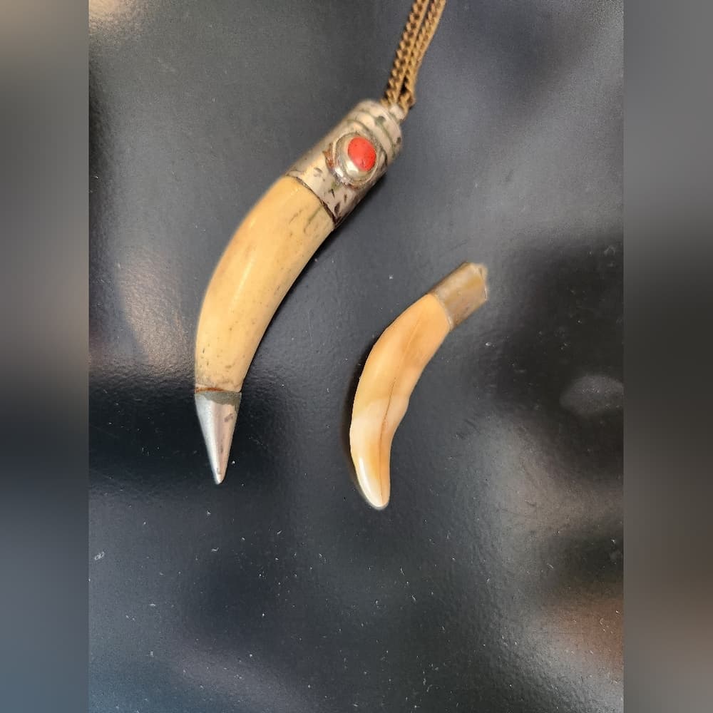 Handmade Tribal Style Tooth Pendants On Delicate Chain Necklace - Thumbnail 7