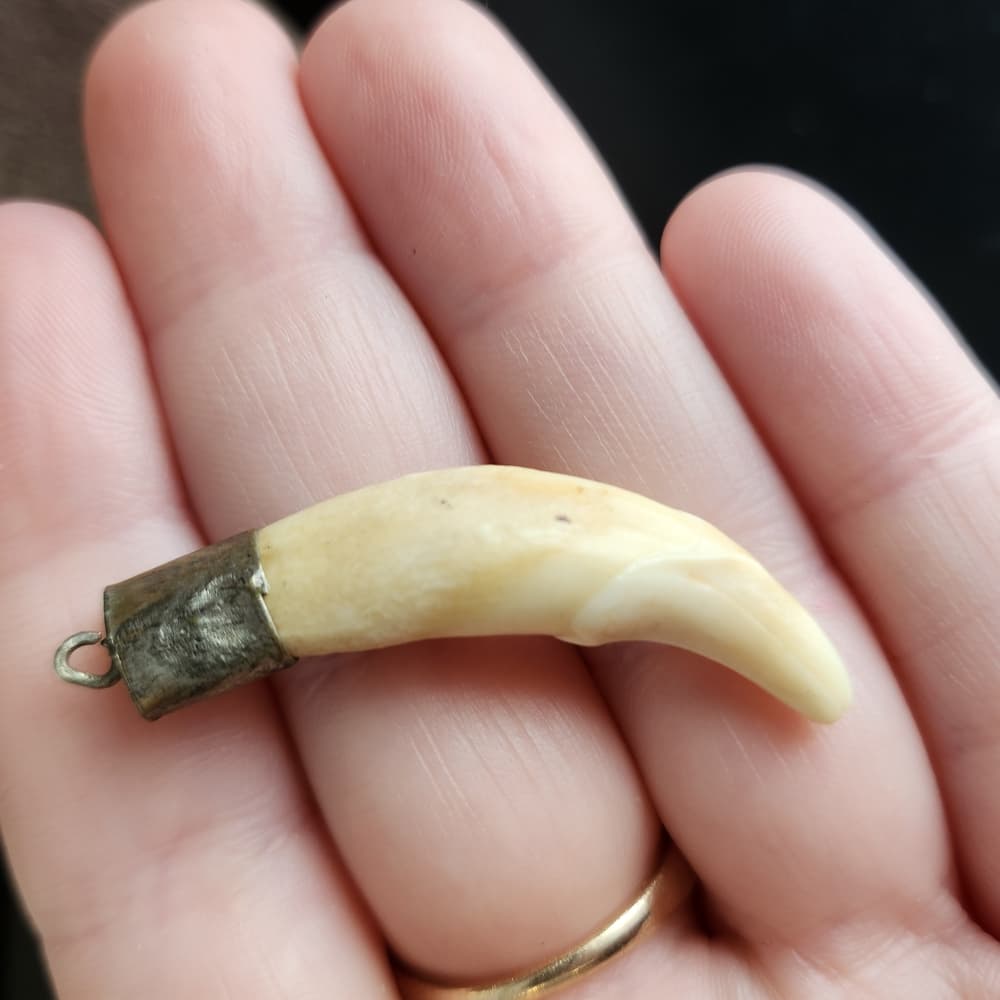 Handmade Tribal Style Tooth Pendants On Delicate Chain Necklace - Thumbnail 5