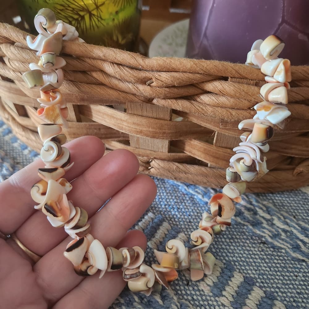 Super Cute Chunky Shell Slice Choker Length Necklace - Thumbnail 5