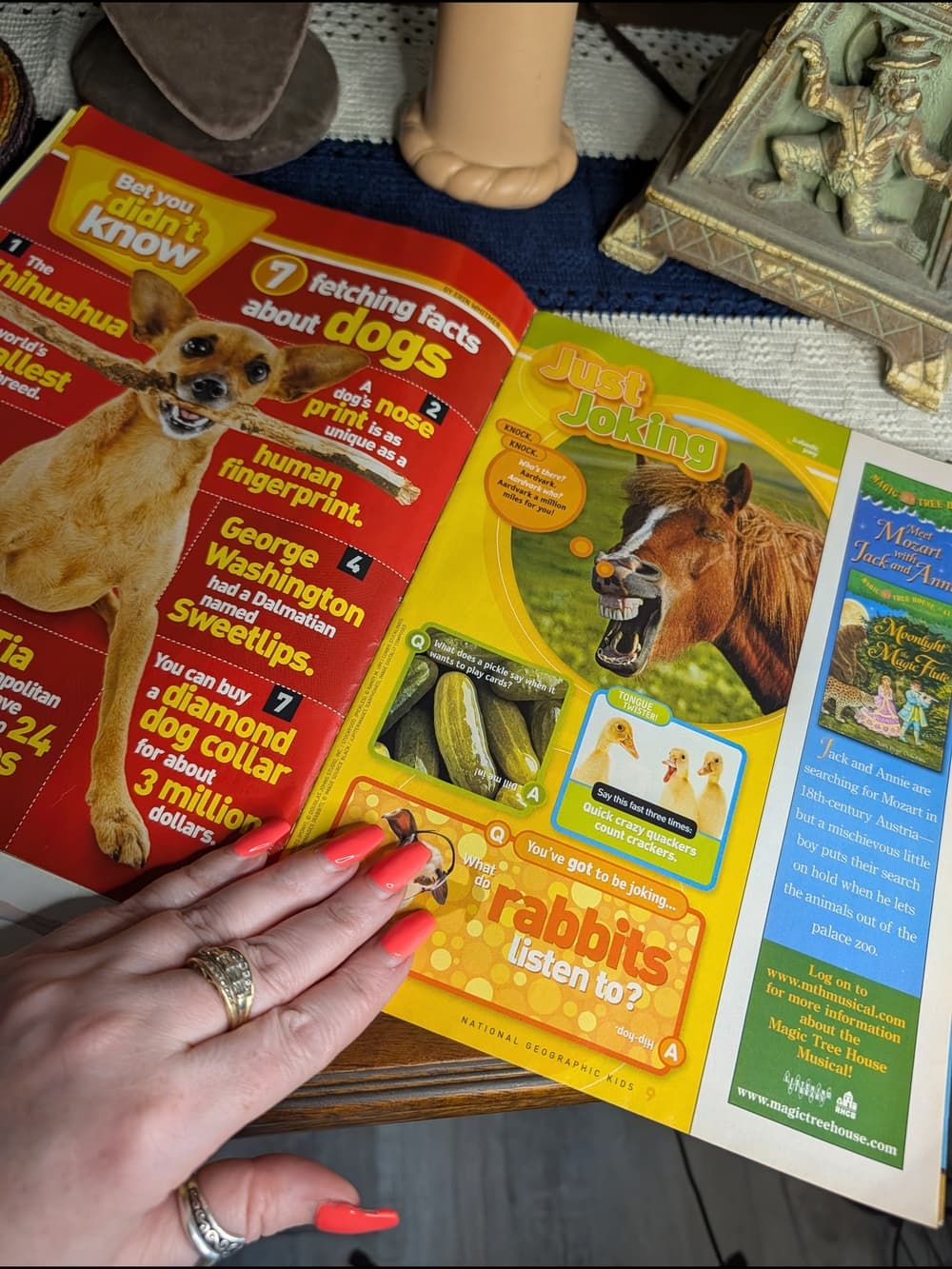 National Geographic Kids Magazines with Tiger and Dolphin Covers - 2009 - Thumbnail 8