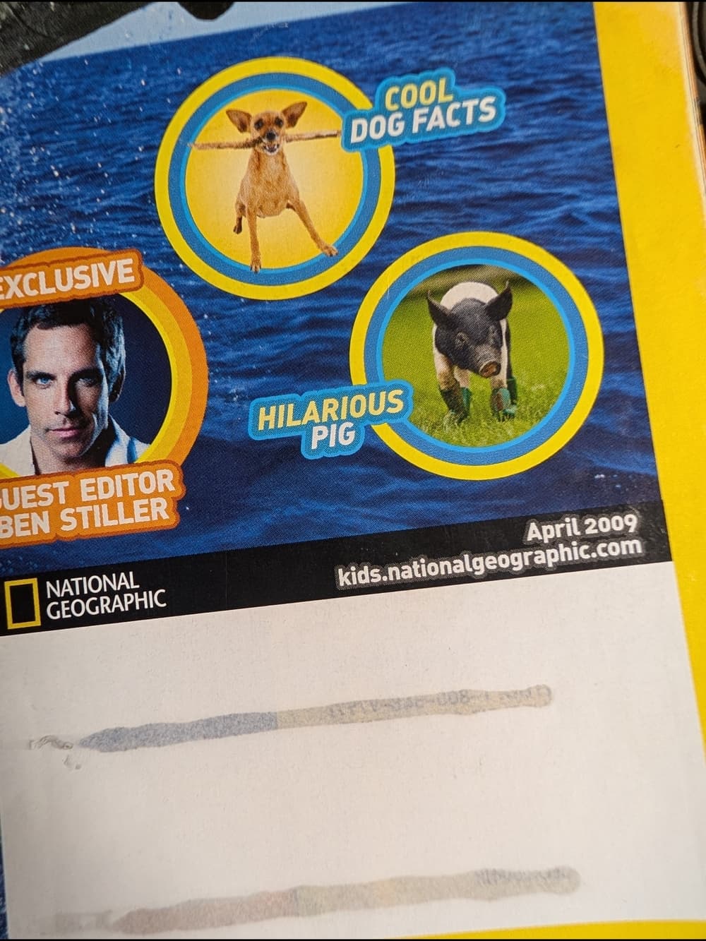National Geographic Kids Magazines with Tiger and Dolphin Covers - 2009 - Thumbnail 2