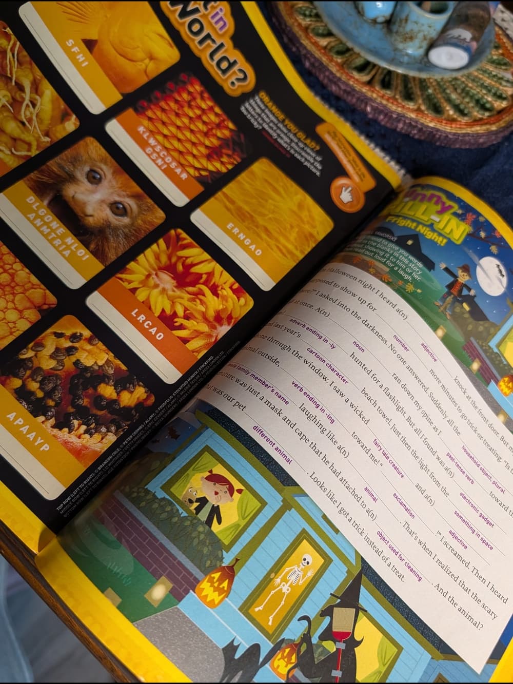 National Geographic Kids Magazines with Tiger and Dolphin Covers - 2009 - Thumbnail 11