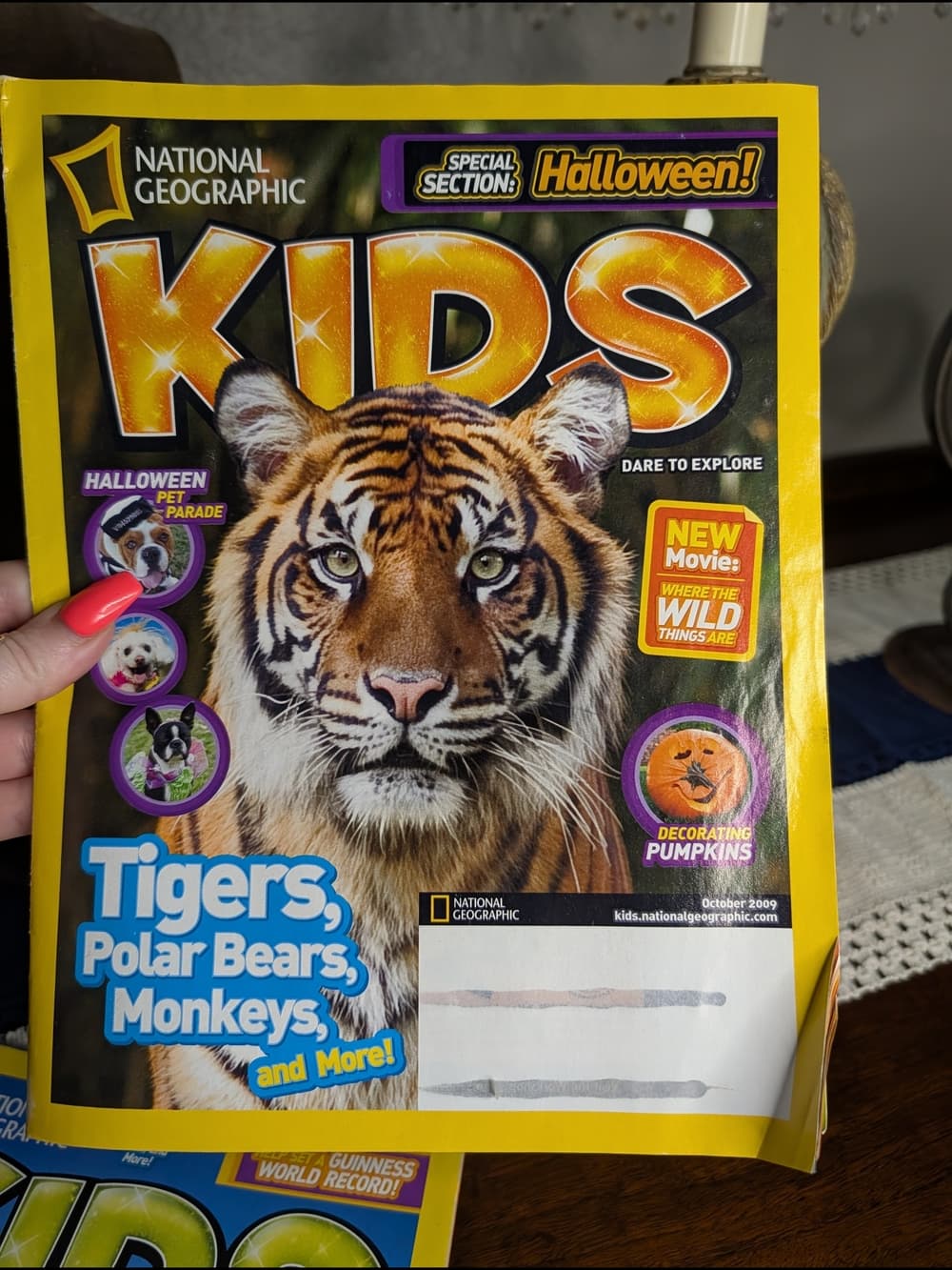 National Geographic Kids Magazines with Tiger and Dolphin Covers - 2009 - Thumbnail 3