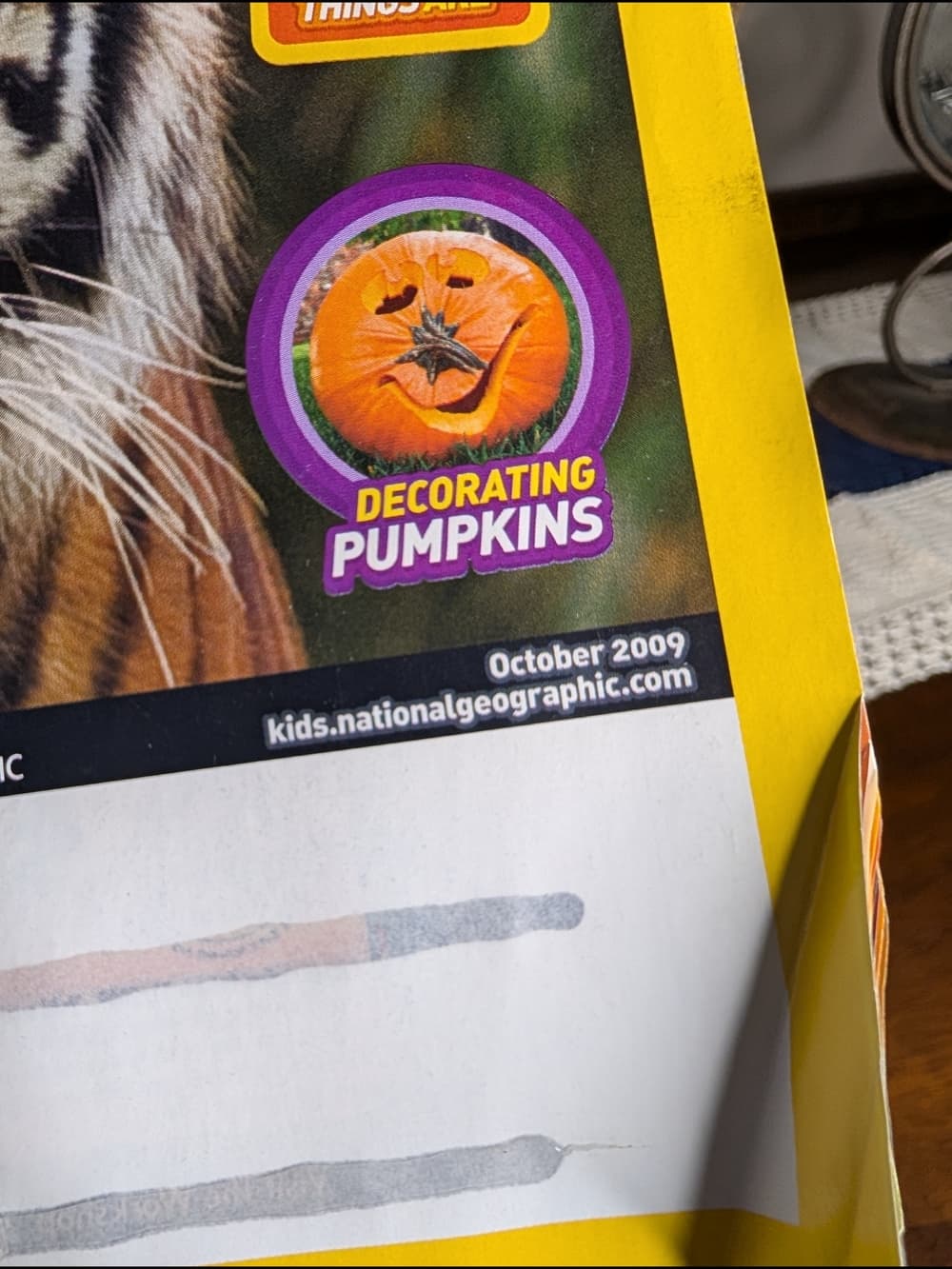 National Geographic Kids Magazines with Tiger and Dolphin Covers - 2009 - Thumbnail 4