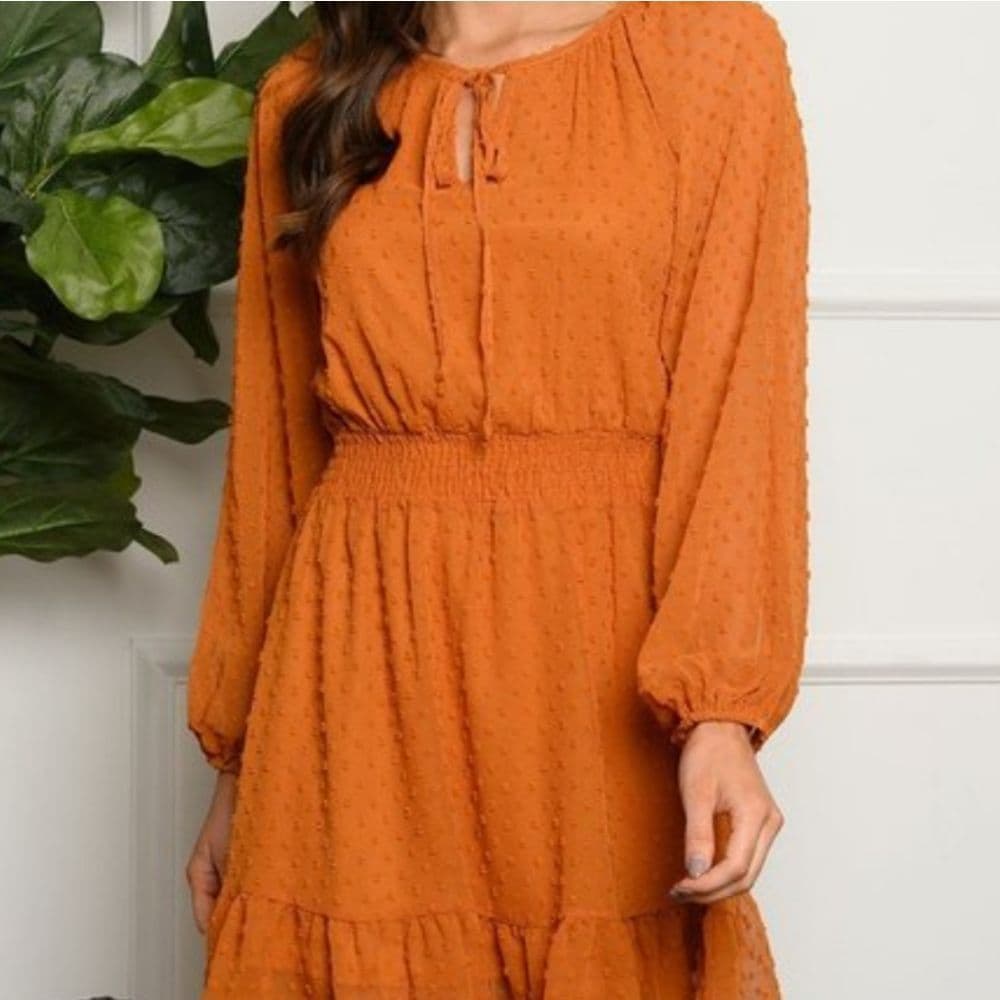 Green Swiss Dot Key Hole Long Sleeve Dress - Thumbnail 8