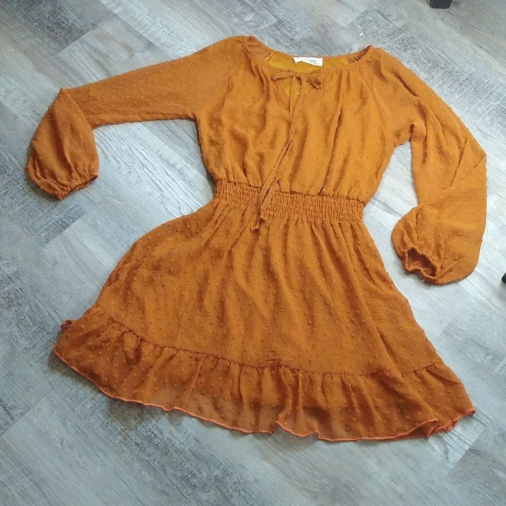 Rust Swiss Dot Key Hole Long Sleeve Dress - Thumbnail 6