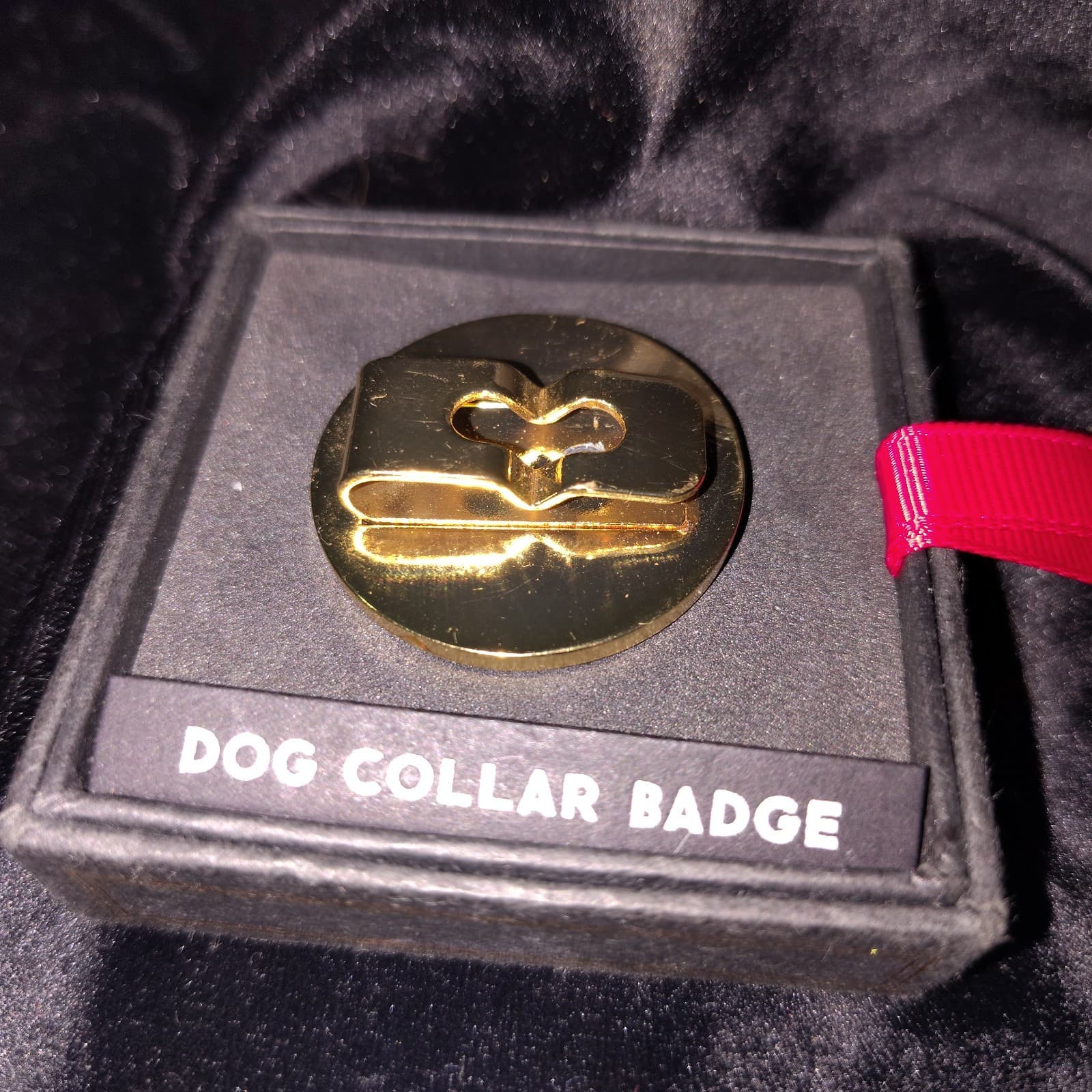 "Obedience School Dropout" Metal Dog Collar Badge Clip Charm - Thumbnail 2
