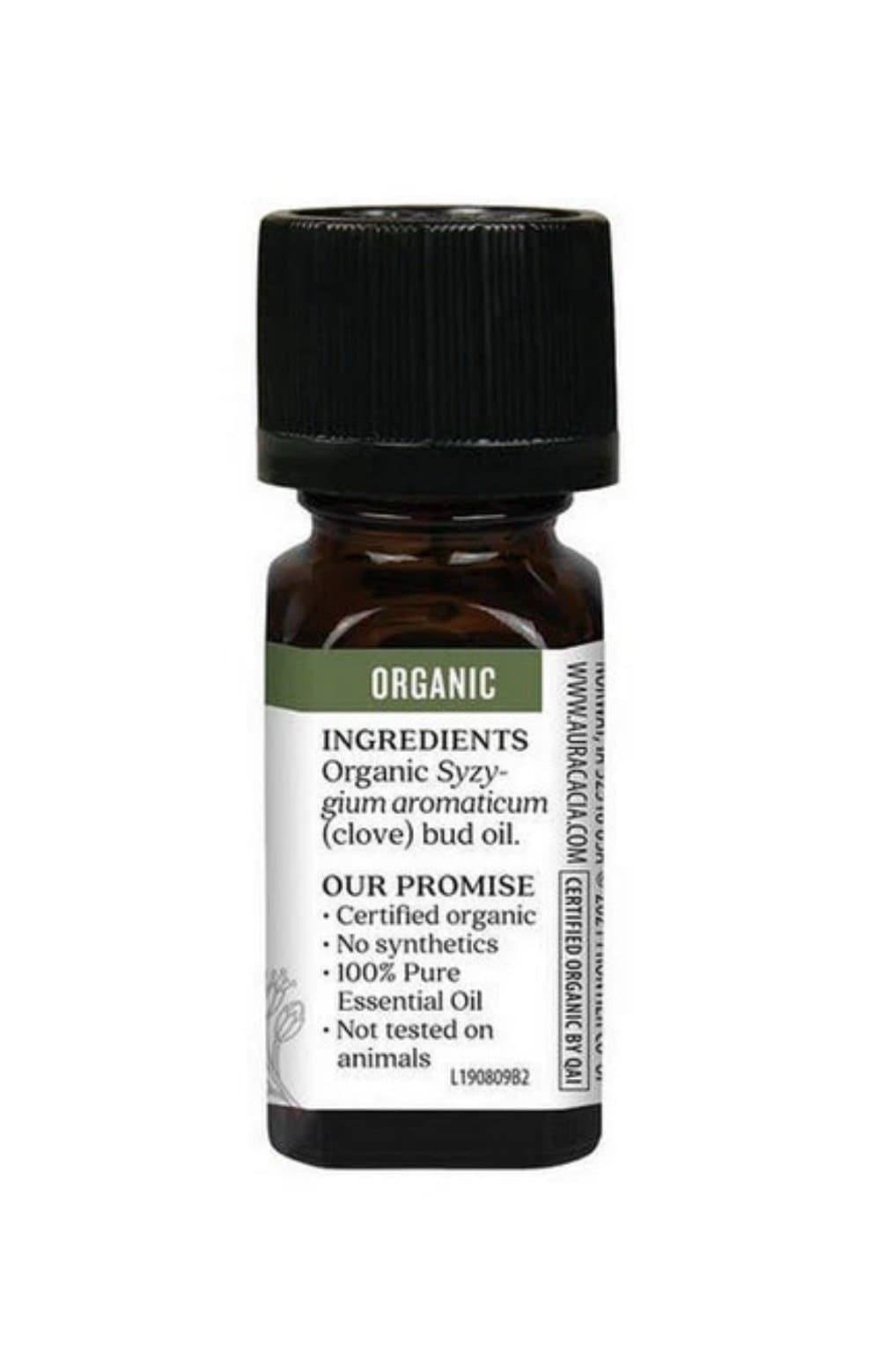 Essential Oil Clove Bud 0.25 oz By Aura Cacia Brand new!! - Thumbnail 3