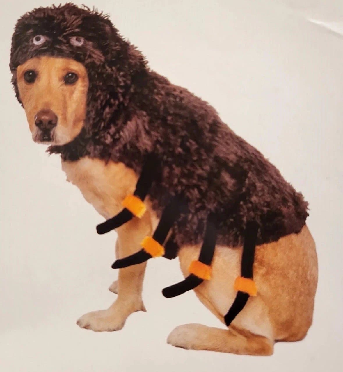 NEW Way To Celebrate Halloween Pet Costume: “Spider” NEW!!!