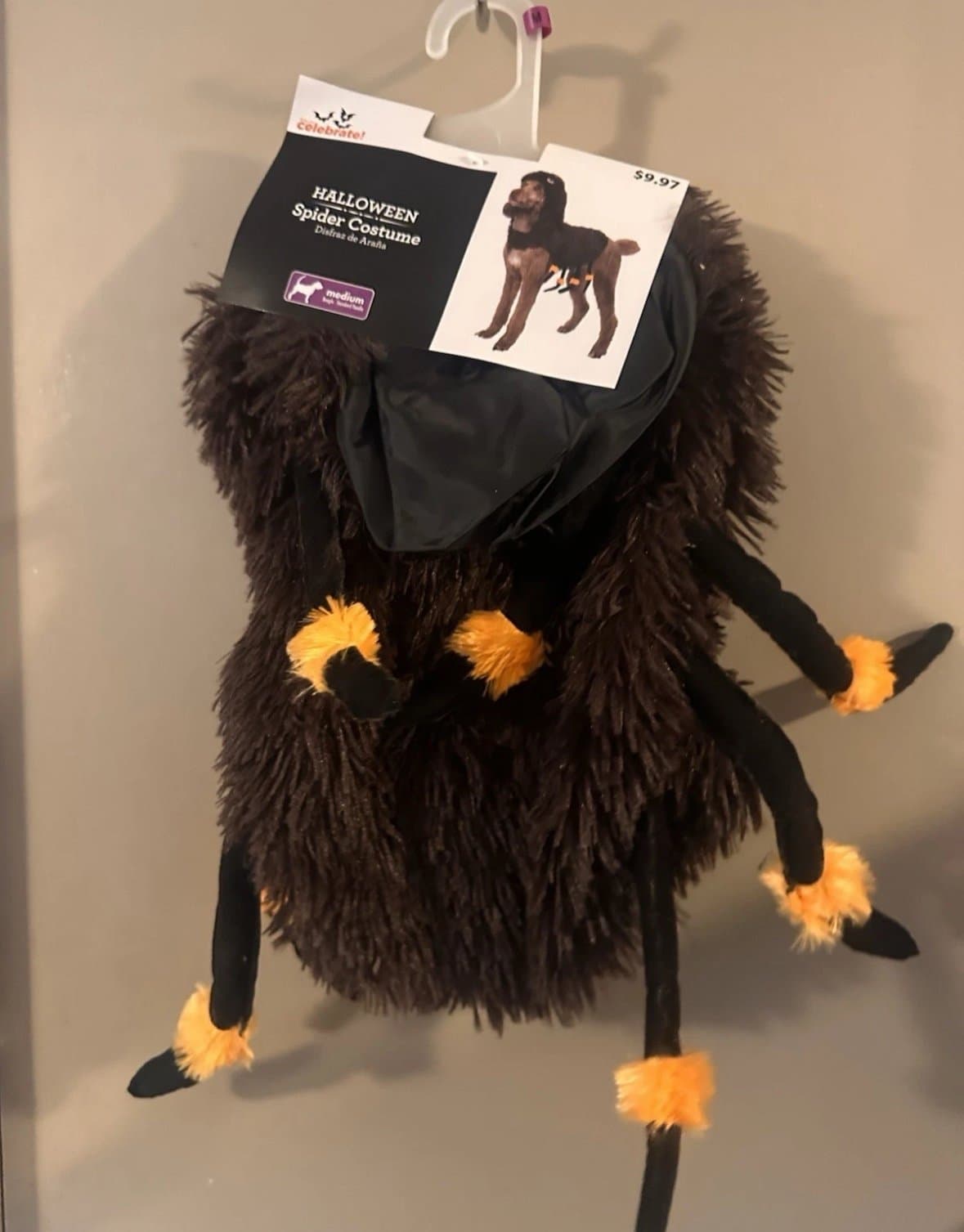 NEW Way To Celebrate Halloween Pet Costume: “Spider” NEW!!! - Thumbnail 5