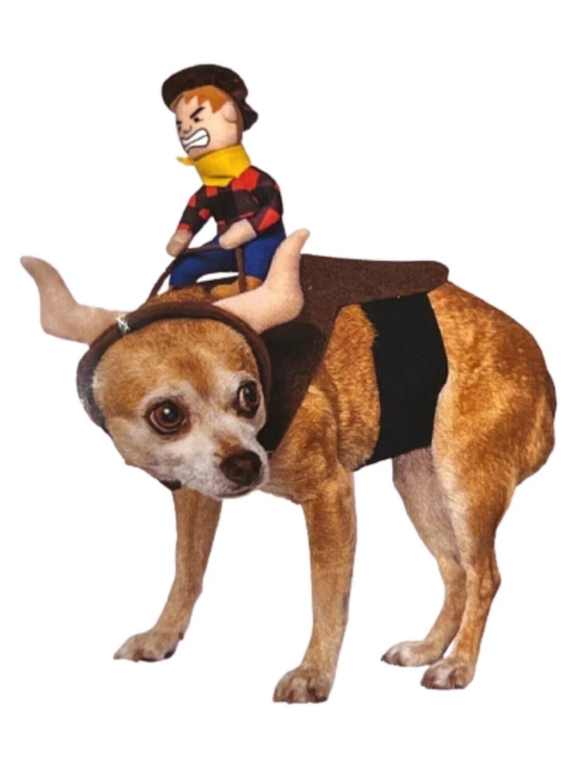 Way to celebrate pet costume, cowboy rider, Sz. XS! New!!