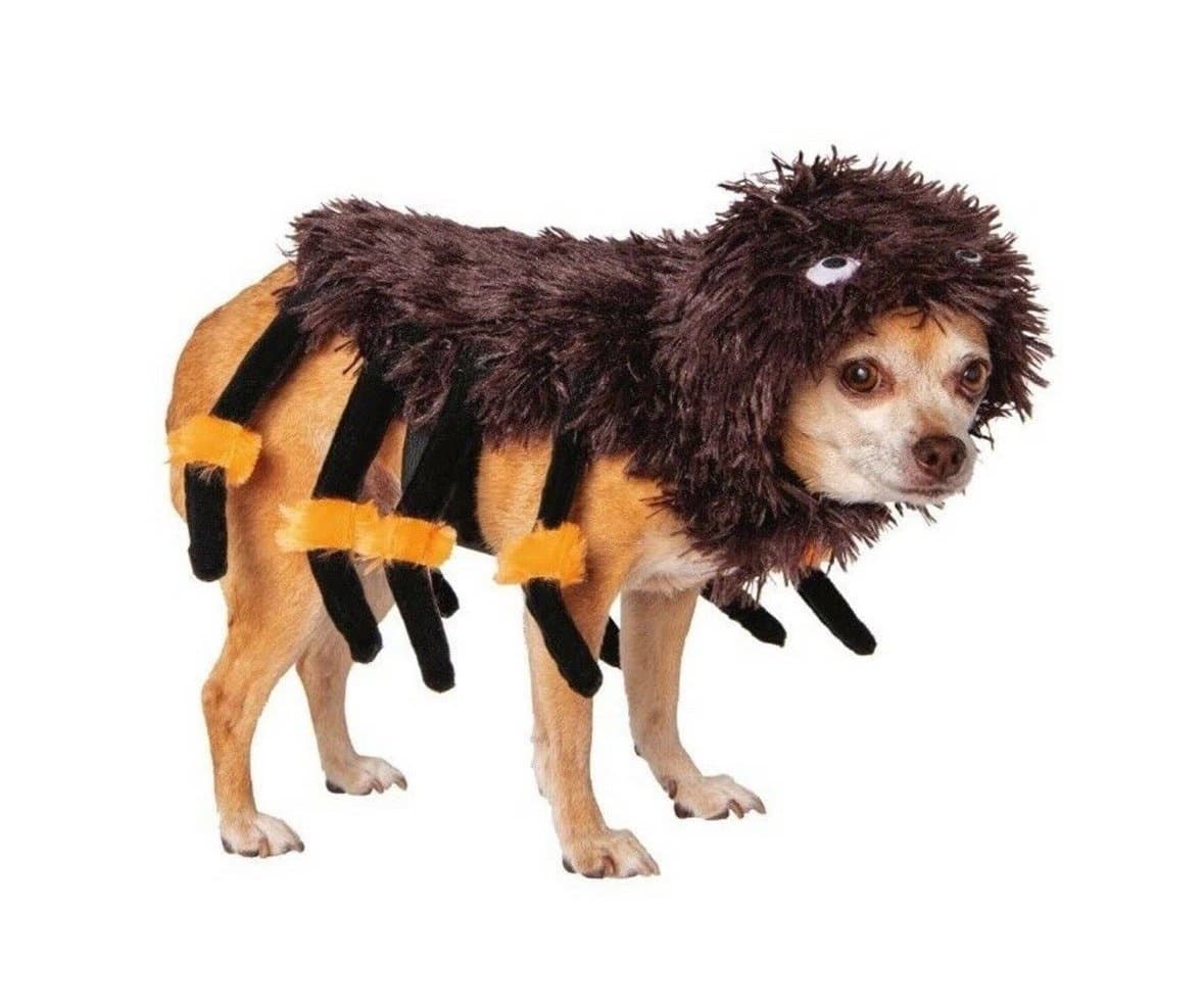 NEW Way To Celebrate Halloween Pet Costume: “Spider” NEW!!! - Thumbnail 2