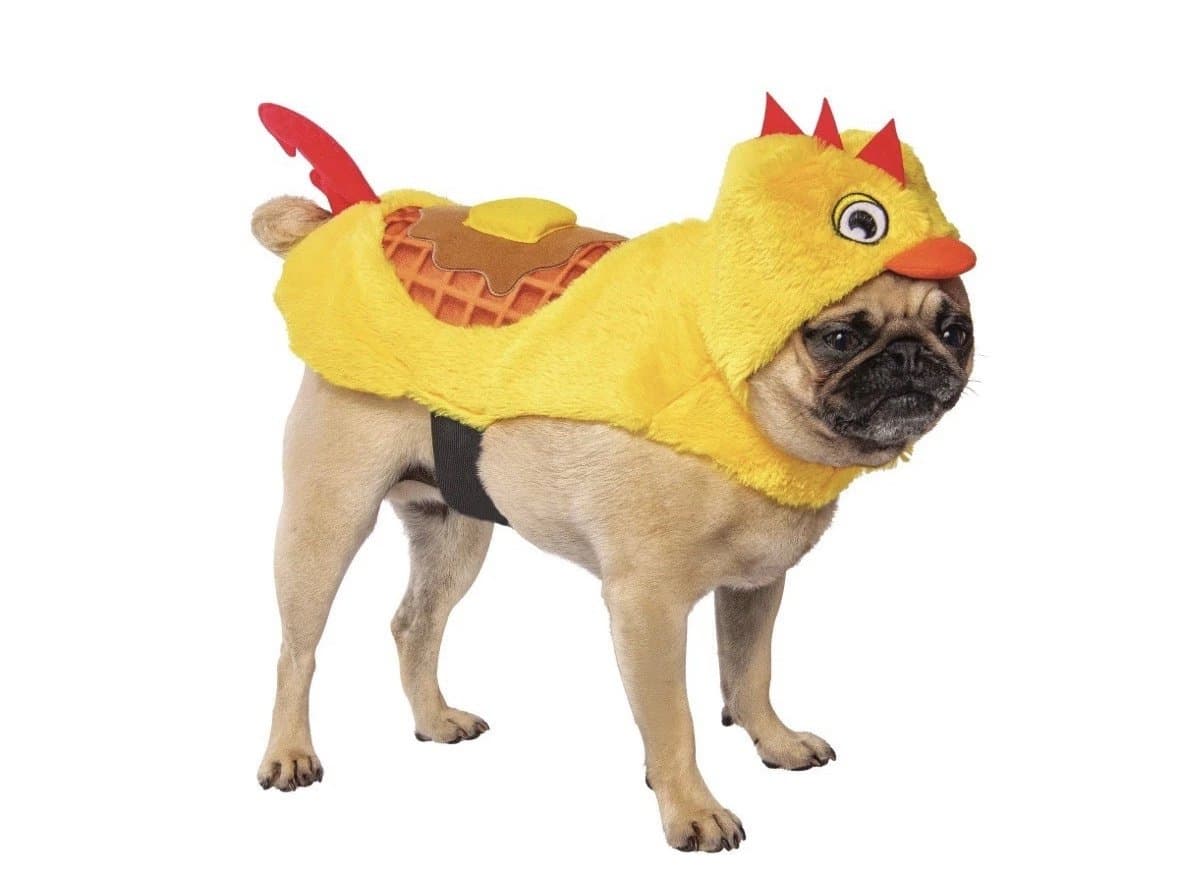 NEW Way To Celebrate Halloween Pet Costume: Chicken waffle NEW!!!