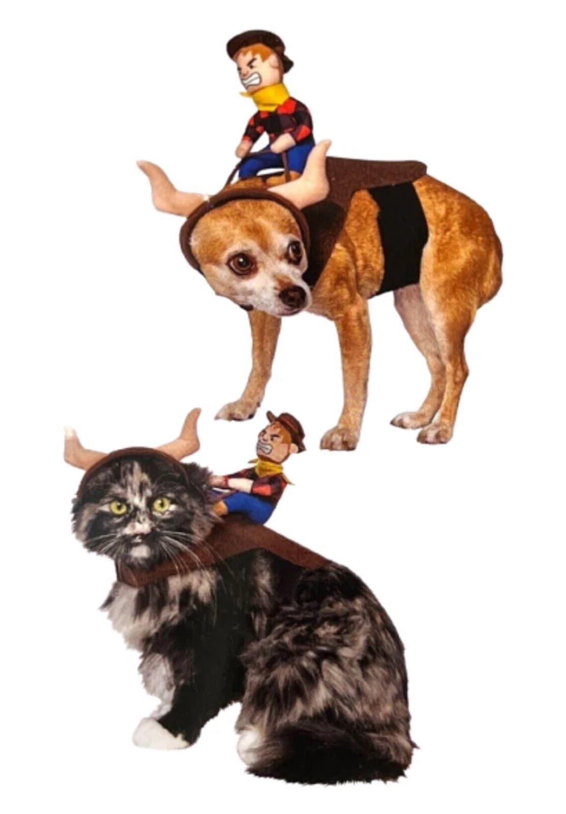 Way to celebrate pet costume, cowboy rider, Sz. XS! New!! - Thumbnail 2