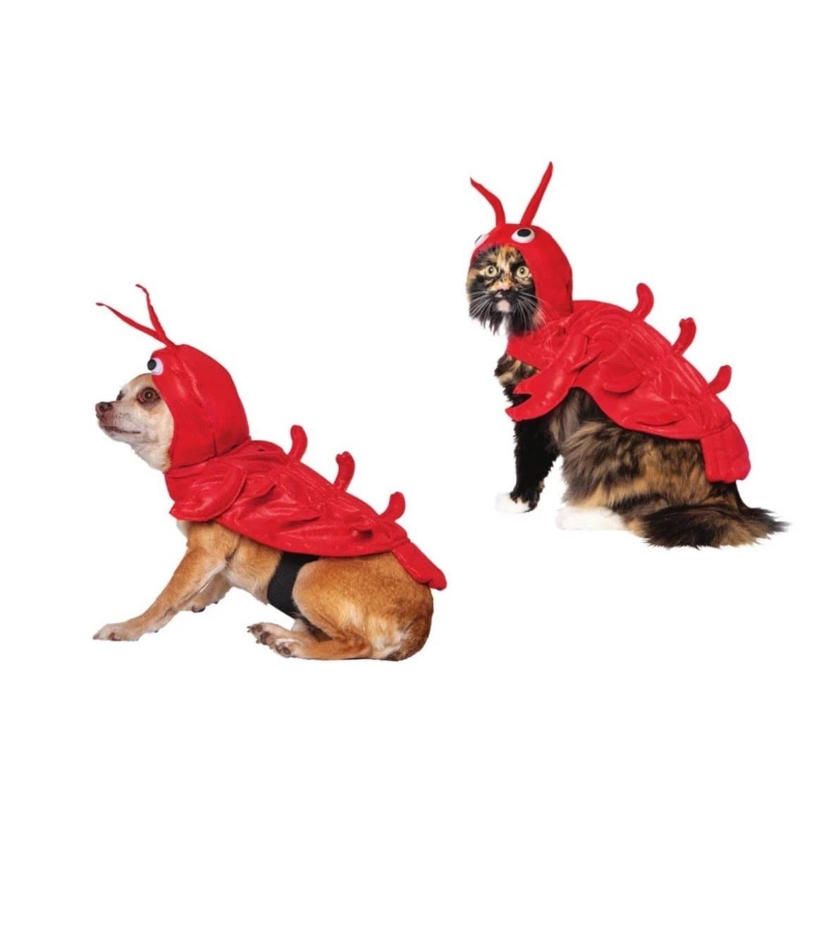 Way To Celebrate Lobster Pet Costume! NEW!!