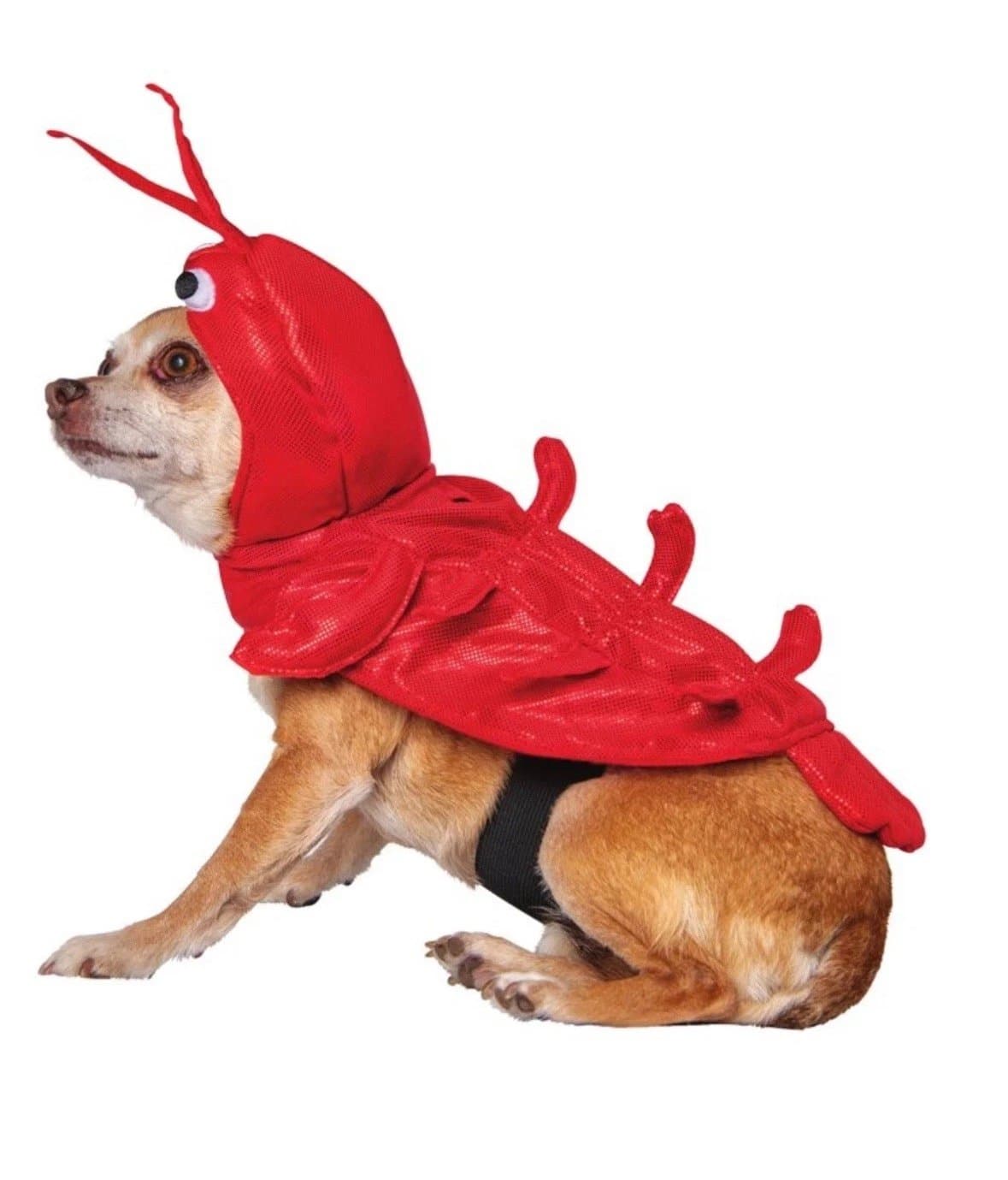 Way To Celebrate Lobster Pet Costume! NEW!! - Thumbnail 2