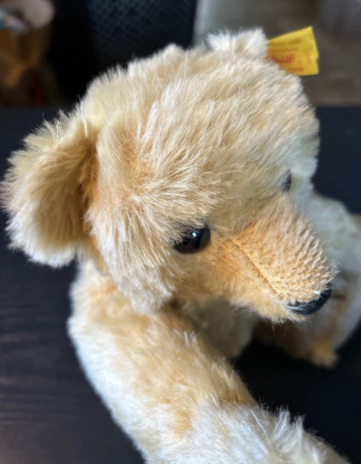 1909 Classic Teddy Bear Replica Steiff Knopf Im Ohr Gowler Button Germany Nice - Thumbnail 8