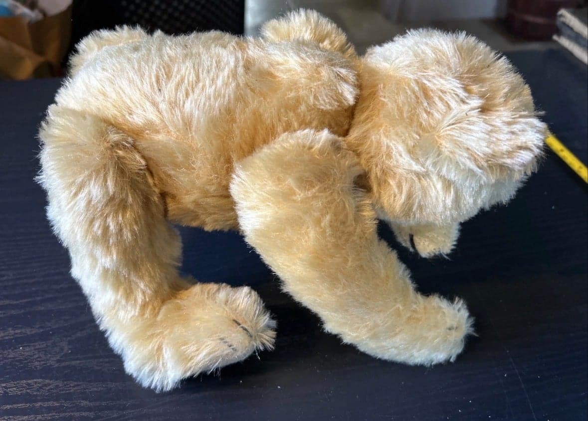1909 Classic Teddy Bear Replica Steiff Knopf Im Ohr Gowler Button Germany Nice - Thumbnail 4