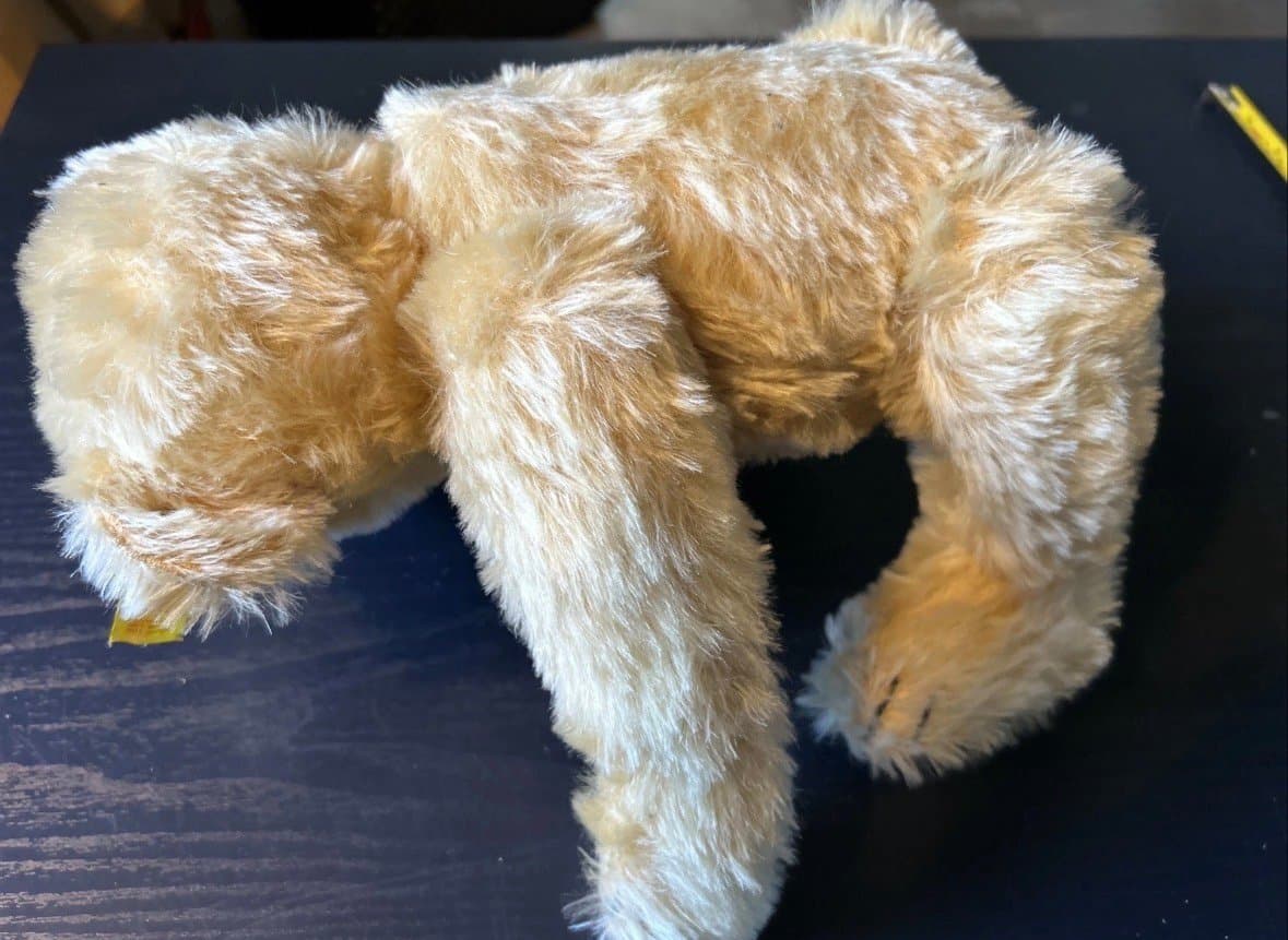 1909 Classic Teddy Bear Replica Steiff Knopf Im Ohr Gowler Button Germany Nice - Thumbnail 5
