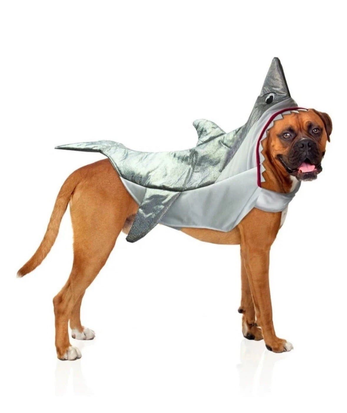 Way To Celebrate “Shark” Pet Costume! NEW!!