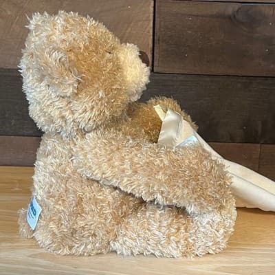 Baby GUND Peek-A-Boo Bear Animated Talking Plush Stuffed Animal Toy Size 10" - Thumbnail 6