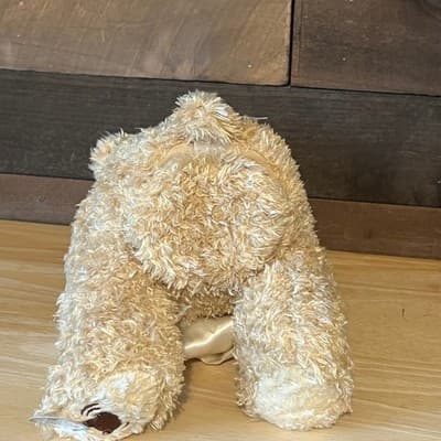 Baby GUND Peek-A-Boo Bear Animated Talking Plush Stuffed Animal Toy Size 10" - Thumbnail 10