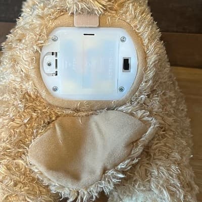Baby GUND Peek-A-Boo Bear Animated Talking Plush Stuffed Animal Toy Size 10" - Thumbnail 11