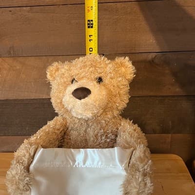 Baby GUND Peek-A-Boo Bear Animated Talking Plush Stuffed Animal Toy Size 10" - Thumbnail 12