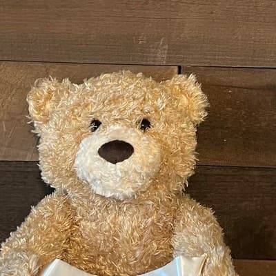 Baby GUND Peek-A-Boo Bear Animated Talking Plush Stuffed Animal Toy Size 10" - Thumbnail 3