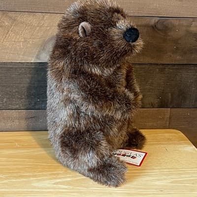 Douglas Cuddle Toys Chuckwood Groundhog Plush 11" Stuffed Animal Woodchuck NWT - Thumbnail 3
