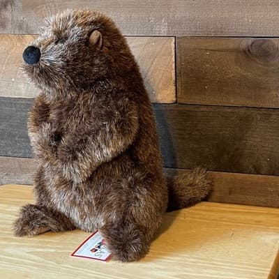 Douglas Cuddle Toys Chuckwood Groundhog Plush 11" Stuffed Animal Woodchuck NWT - Thumbnail 2