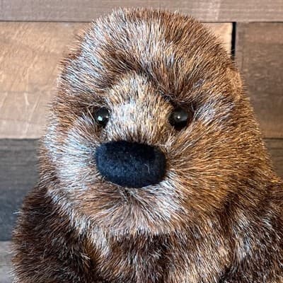 Douglas Cuddle Toys Chuckwood Groundhog Plush 11" Stuffed Animal Woodchuck NWT - Thumbnail 5