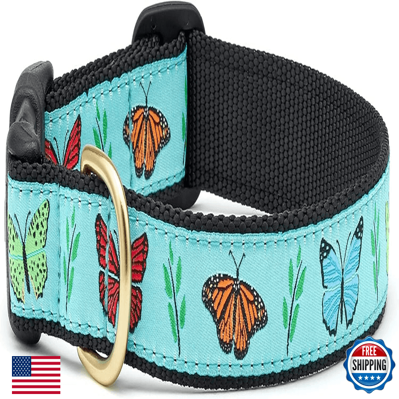 Up Country Butterfly Effect Dog Collar Medium 12 To 18 Inches 5/8 Inch Narrow