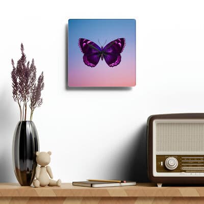 Untitled Item - Thumbnail 4