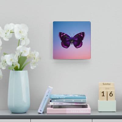Untitled Item - Thumbnail 6